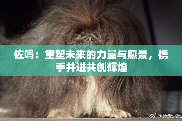 佐鸣：重塑未来的力量与愿景，携手并进共创辉煌