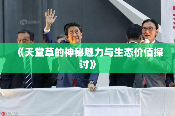《天堂草的神秘魅力与生态价值探讨》
