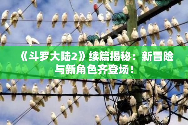 《斗罗大陆2》续篇揭秘：新冒险与新角色齐登场！