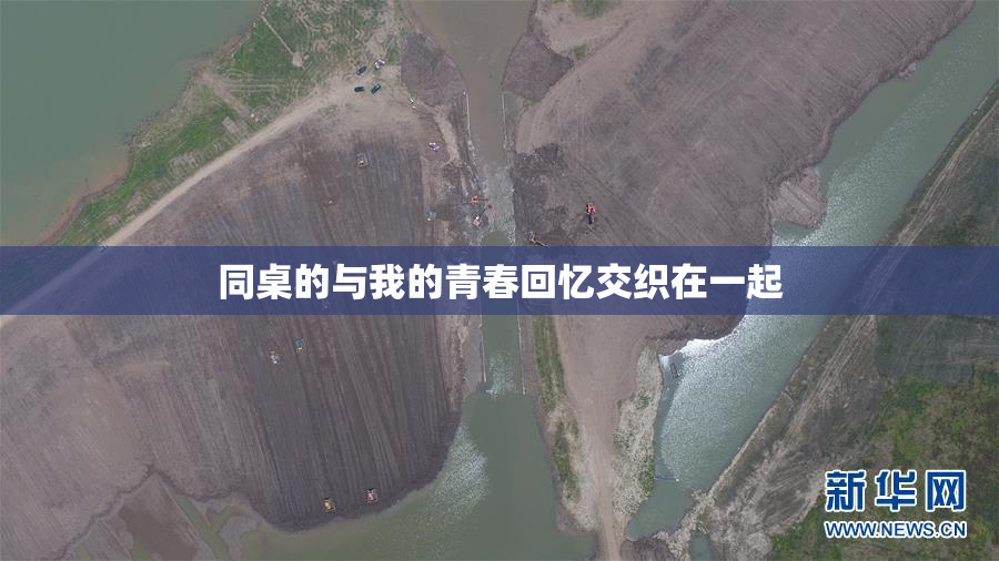 同桌的与我的青春回忆交织在一起