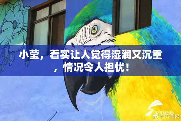 小莹，着实让人觉得湿润又沉重，情况令人担忧！