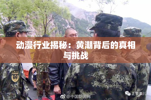 动漫行业揭秘：黄潮背后的真相与挑战