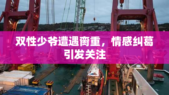 双性少爷遭遇脔重，情感纠葛引发关注