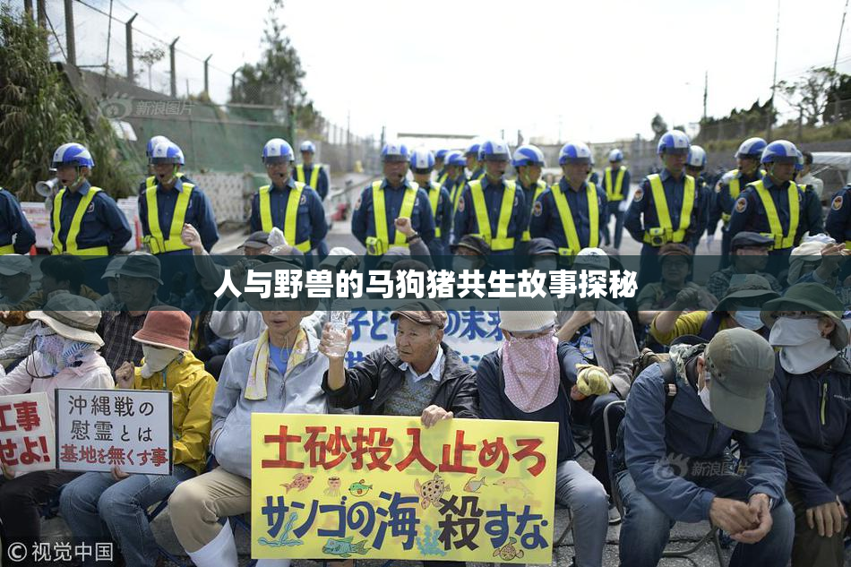 人与野兽的马狗猪共生故事探秘