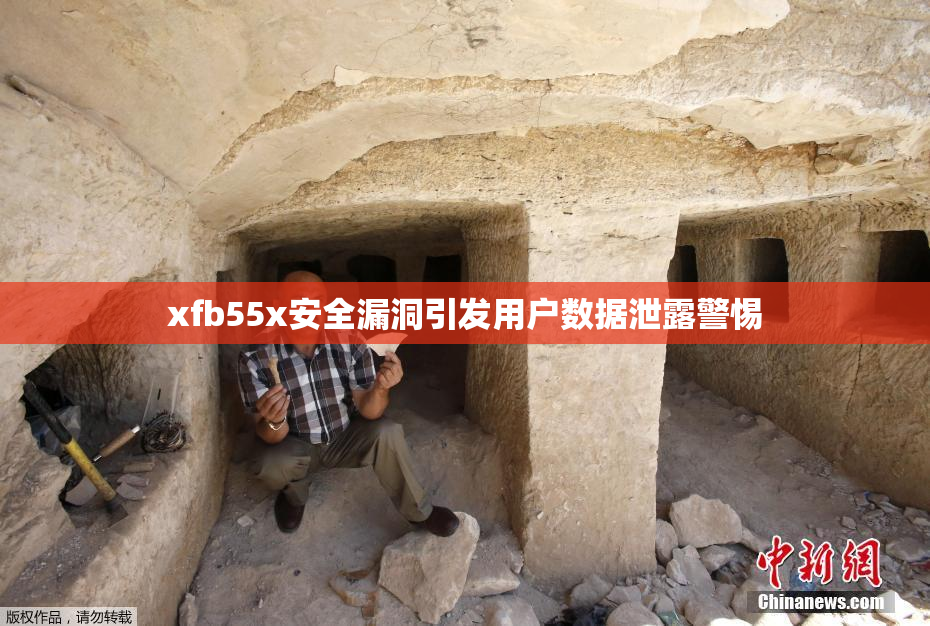 xfb55x安全漏洞引发用户数据泄露警惕