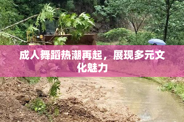 成人舞蹈热潮再起，展现多元文化魅力