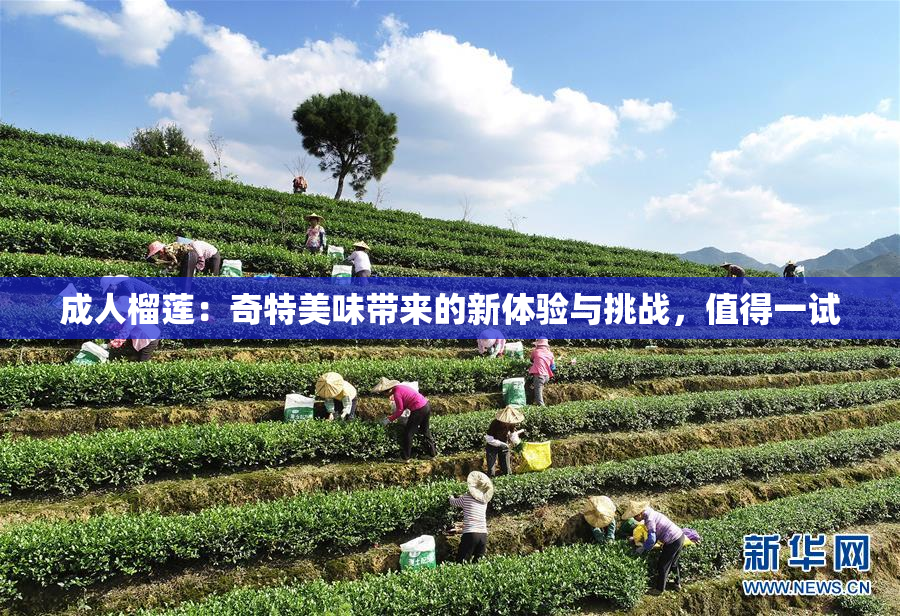成人榴莲：奇特美味带来的新体验与挑战，值得一试
