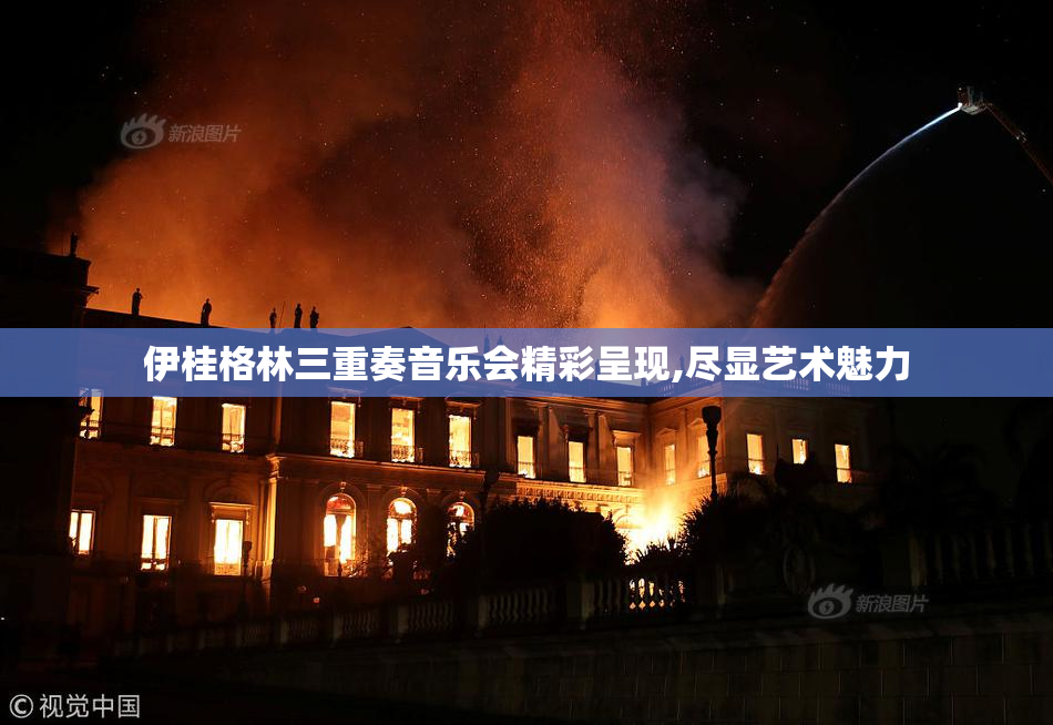 伊桂格林三重奏音乐会精彩呈现,尽显艺术魅力