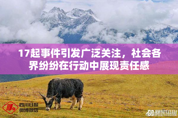 17起事件引发广泛关注，社会各界纷纷在行动中展现责任感