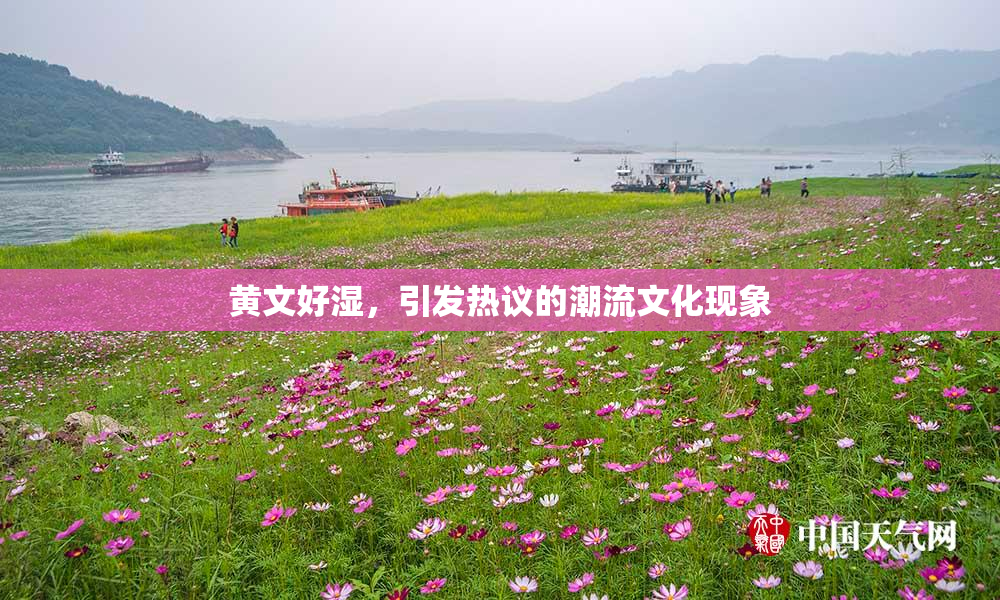 黄文好湿，引发热议的潮流文化现象