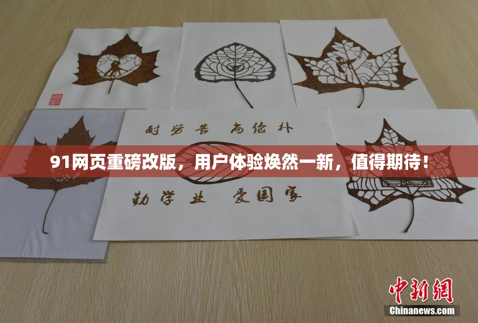 91网页重磅改版，用户体验焕然一新，值得期待！