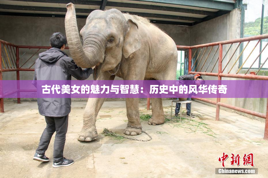 古代美女的魅力与智慧：历史中的风华传奇