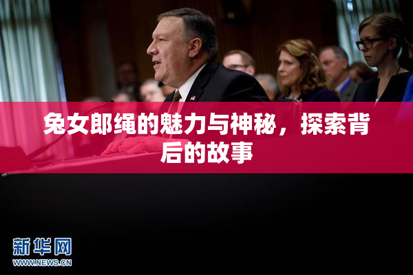 兔女郎绳的魅力与神秘，探索背后的故事