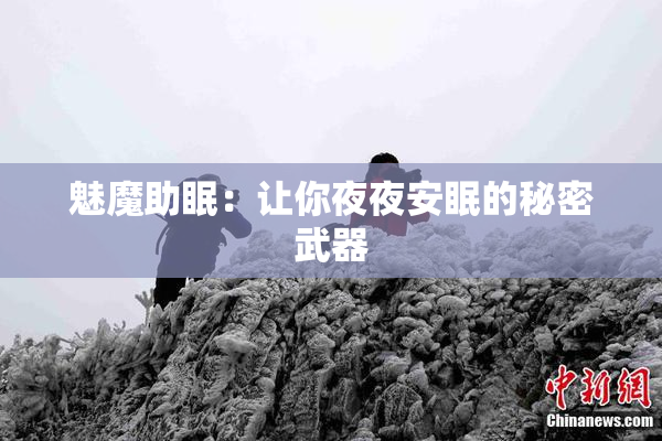 魅魔助眠：让你夜夜安眠的秘密武器