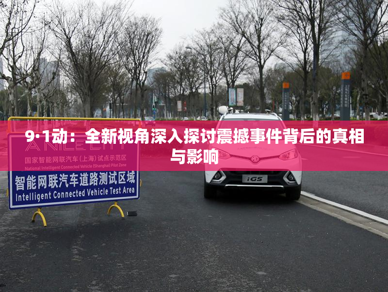 9·1动：全新视角深入探讨震撼事件背后的真相与影响