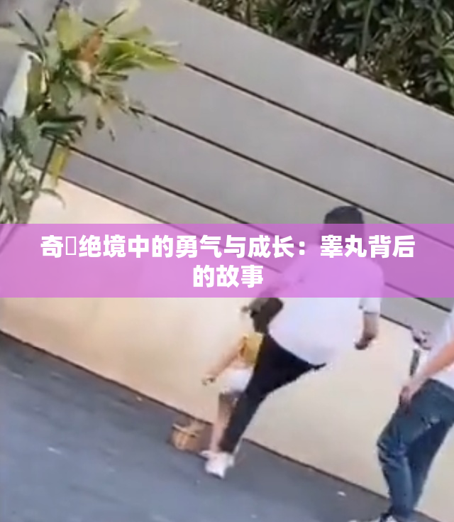 奇犽绝境中的勇气与成长：睾丸背后的故事