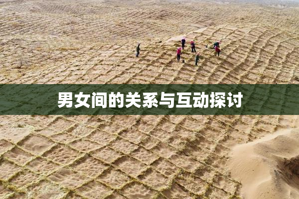 男女间的关系与互动探讨