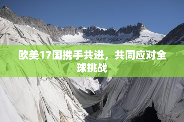 欧美17国携手共进，共同应对全球挑战