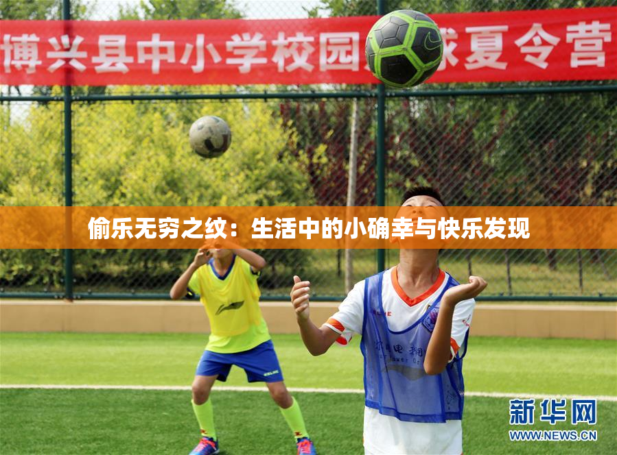 偷乐无穷之纹：生活中的小确幸与快乐发现