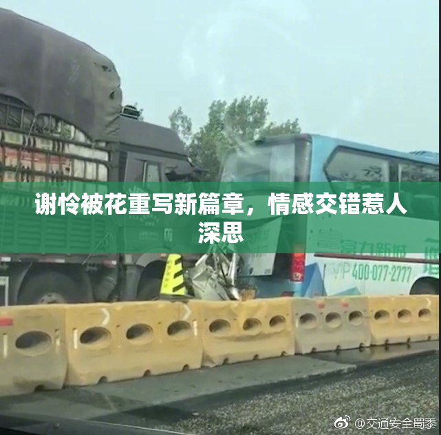 谢怜被花重写新篇章，情感交错惹人深思