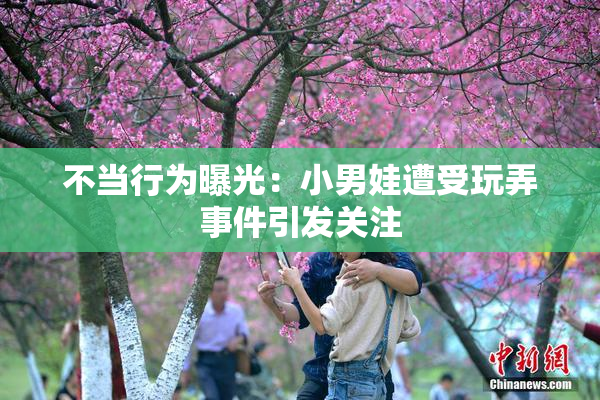 不当行为曝光：小男娃遭受玩弄事件引发关注