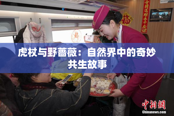 虎杖与野蔷薇：自然界中的奇妙共生故事
