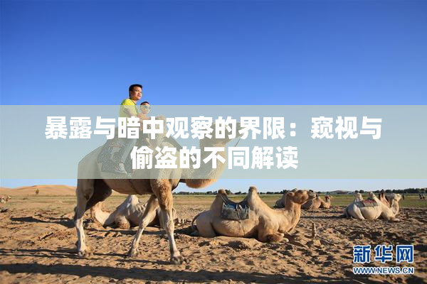 暴露与暗中观察的界限：窥视与偷盗的不同解读