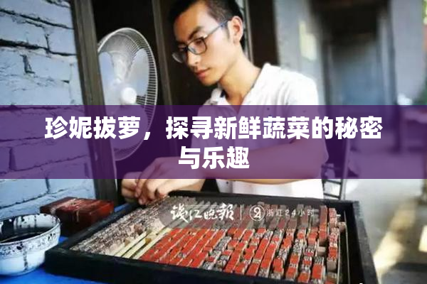 珍妮拔萝，探寻新鲜蔬菜的秘密与乐趣