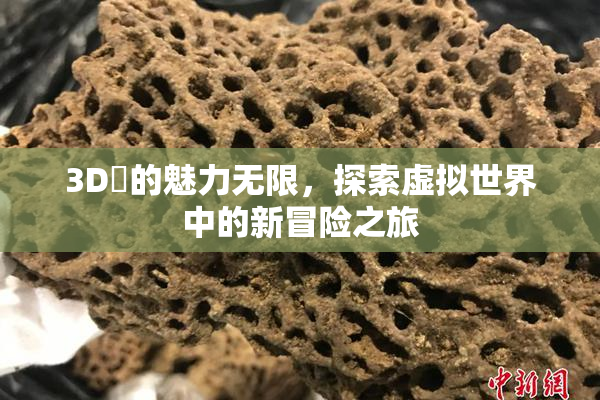 3D姉的魅力无限，探索虚拟世界中的新冒险之旅