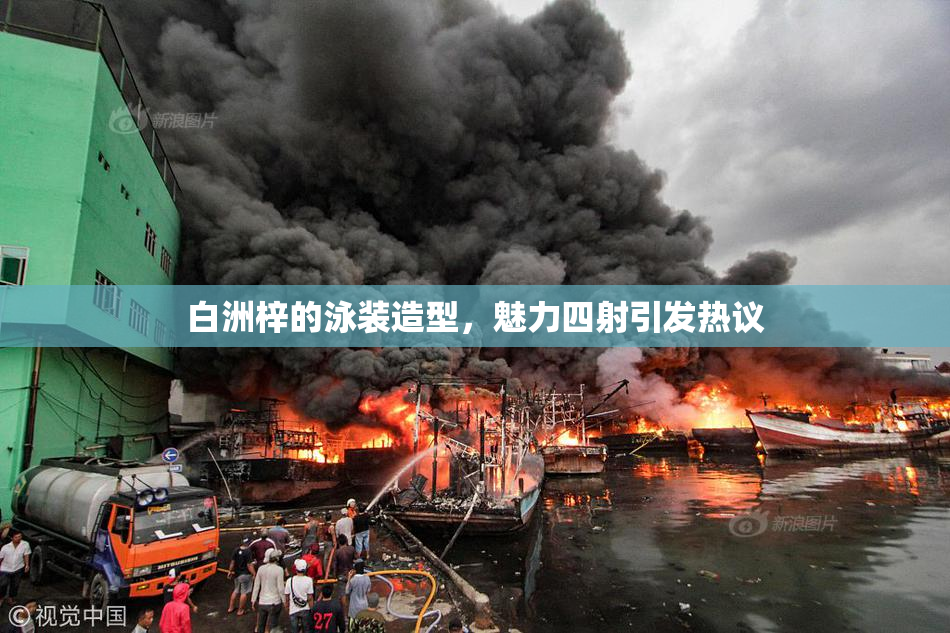 白洲梓的泳装造型，魅力四射引发热议