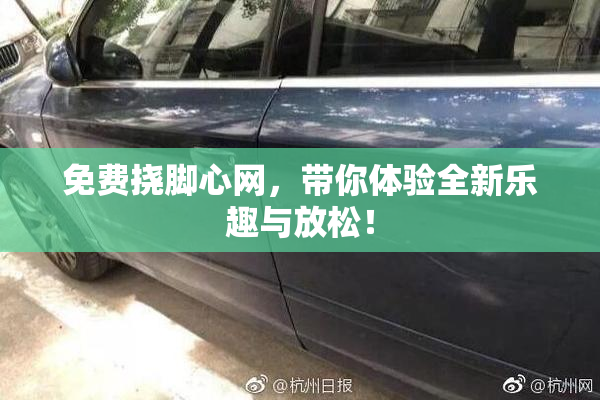 免费挠脚心网，带你体验全新乐趣与放松！