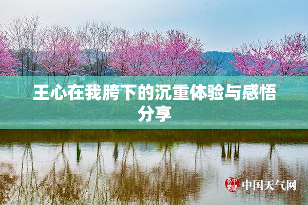 王心在我胯下的沉重体验与感悟分享