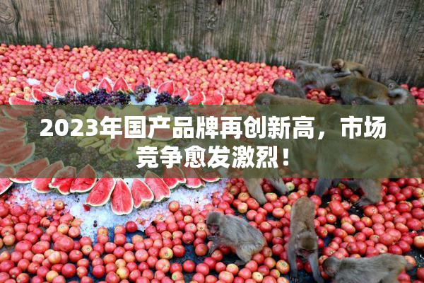2023年国产品牌再创新高，市场竞争愈发激烈！
