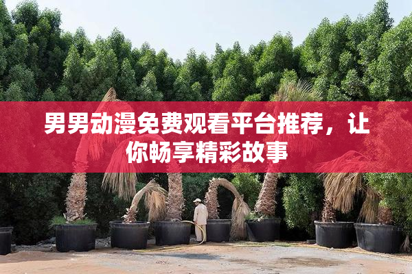 男男动漫免费观看平台推荐，让你畅享精彩故事