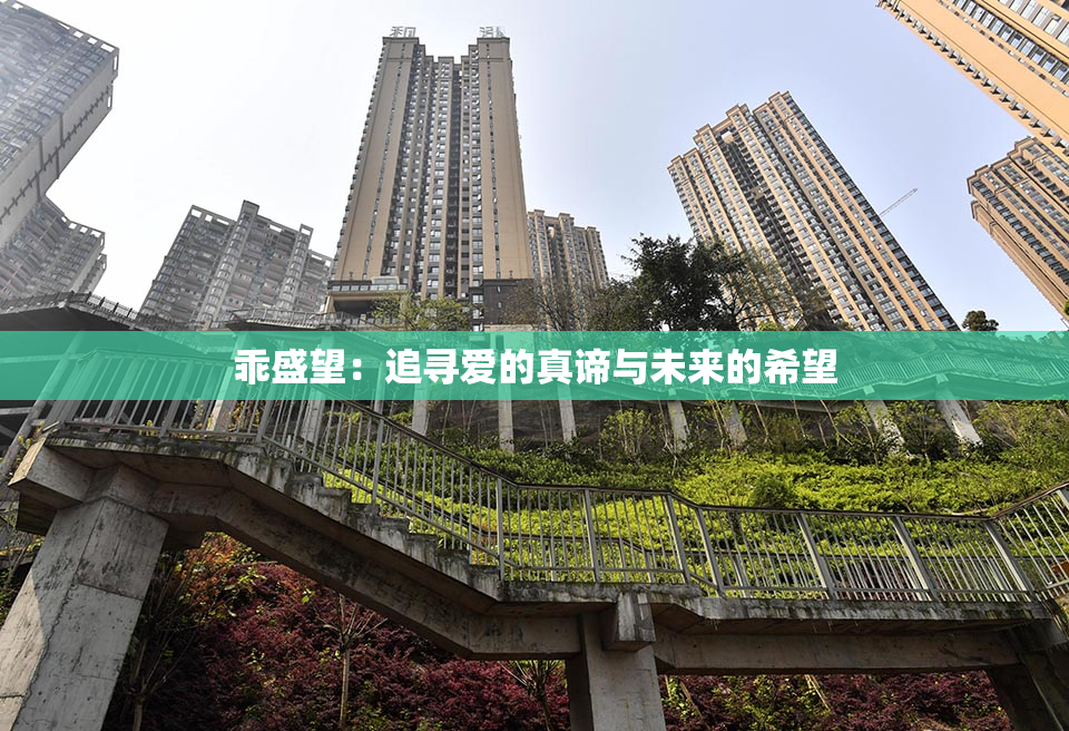 乖盛望：追寻爱的真谛与未来的希望