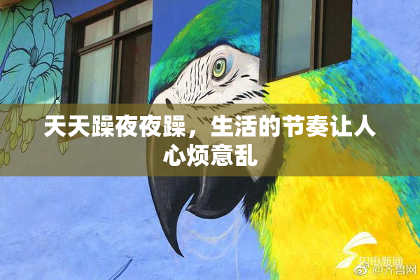天天躁夜夜躁，生活的节奏让人心烦意乱