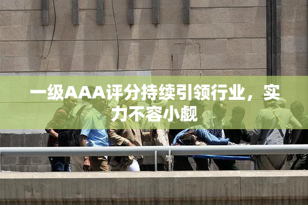 一级AAA评分持续引领行业，实力不容小觑