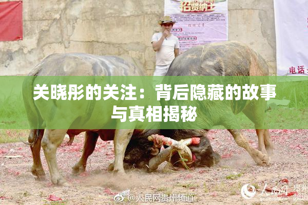 关晓彤的关注：背后隐藏的故事与真相揭秘