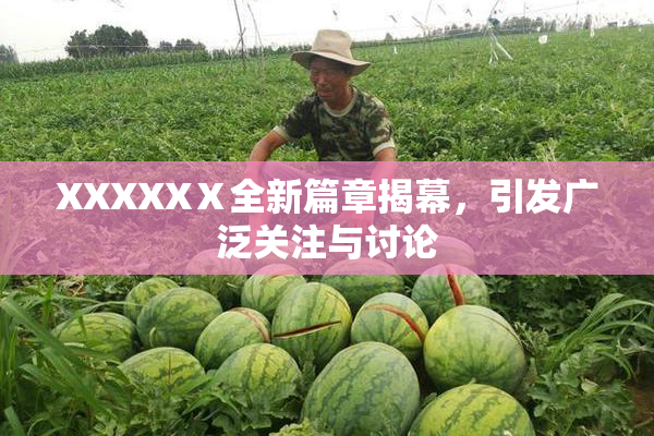 XXXXXⅩ全新篇章揭幕，引发广泛关注与讨论