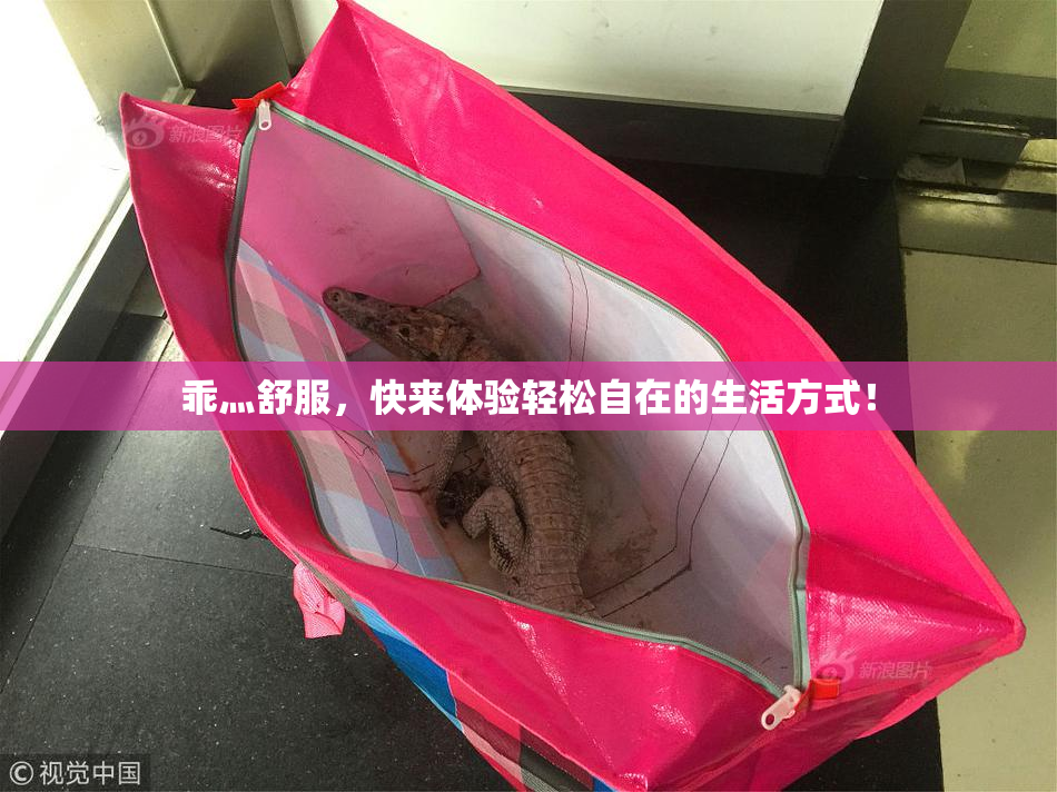 乖灬舒服，快来体验轻松自在的生活方式！