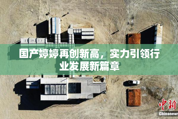 国产婷婷再创新高，实力引领行业发展新篇章