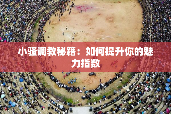 小骚调教秘籍：如何提升你的魅力指数