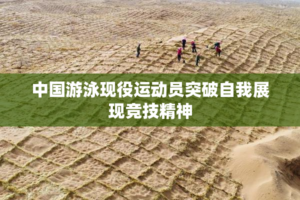 中国游泳现役运动员突破自我展现竞技精神