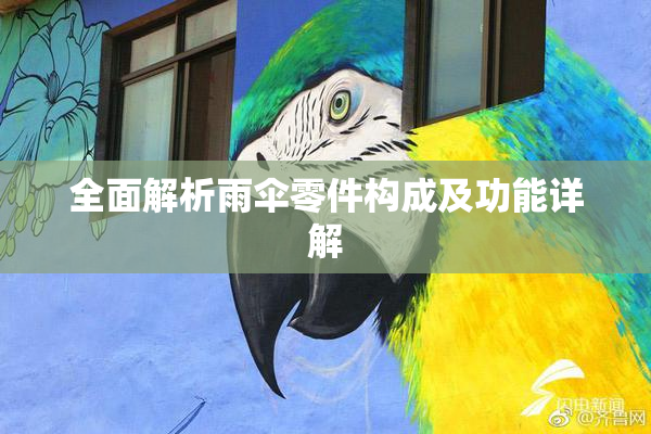 全面解析雨伞零件构成及功能详解