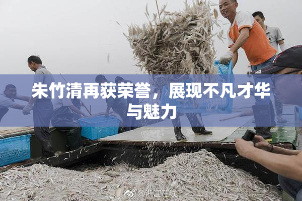 朱竹清再获荣誉，展现不凡才华与魅力