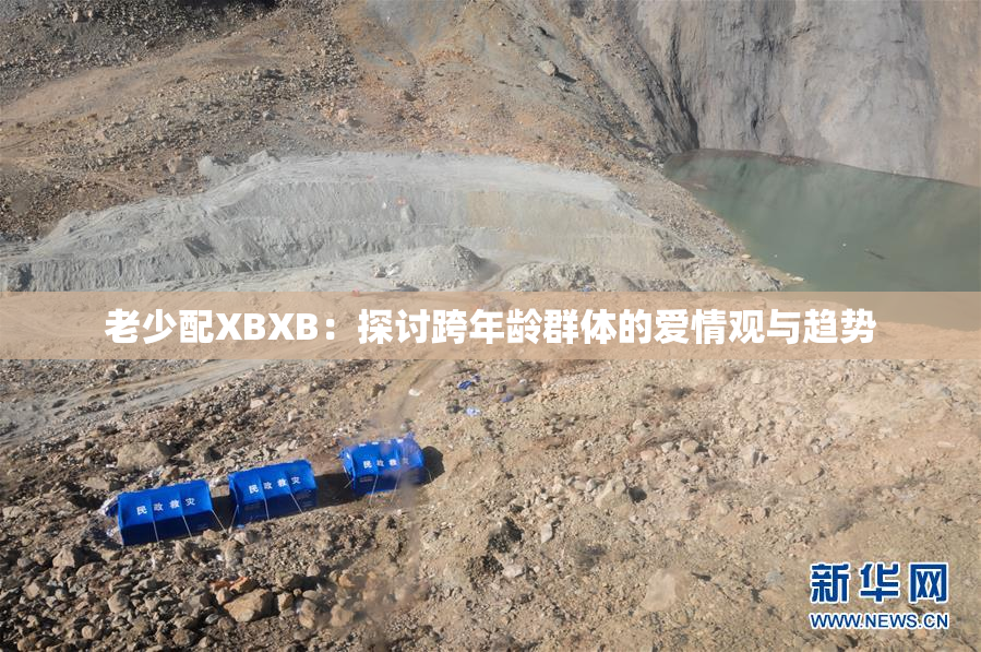 老少配XBXB：探讨跨年龄群体的爱情观与趋势