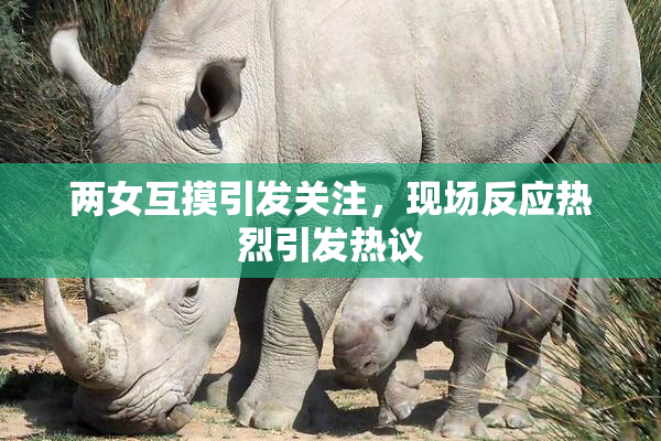 两女互摸引发关注，现场反应热烈引发热议