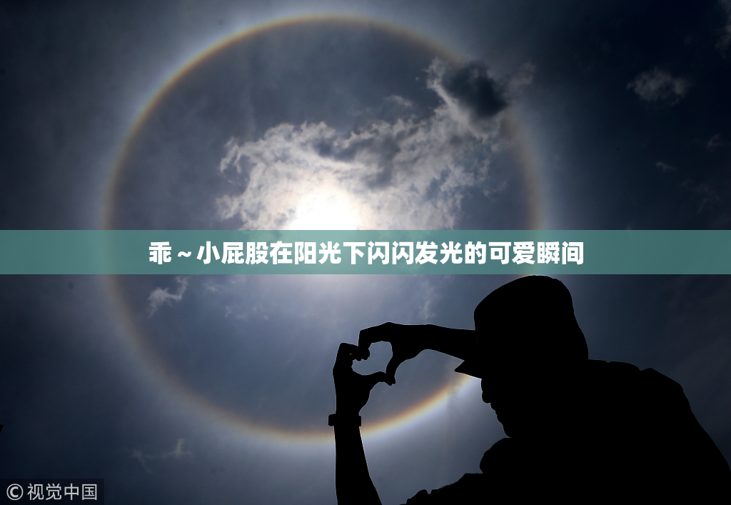 乖～小屁股在阳光下闪闪发光的可爱瞬间