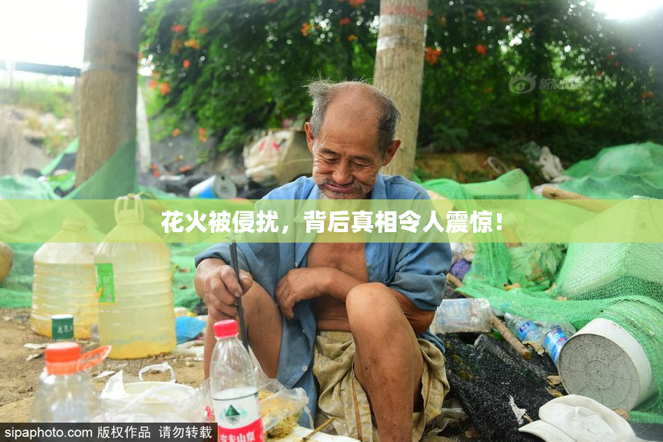 花火被侵扰，背后真相令人震惊！