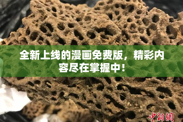 全新上线的漫画免费版，精彩内容尽在掌握中！